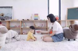 【使用手册】亳州市公司_哔哩哔哩-2